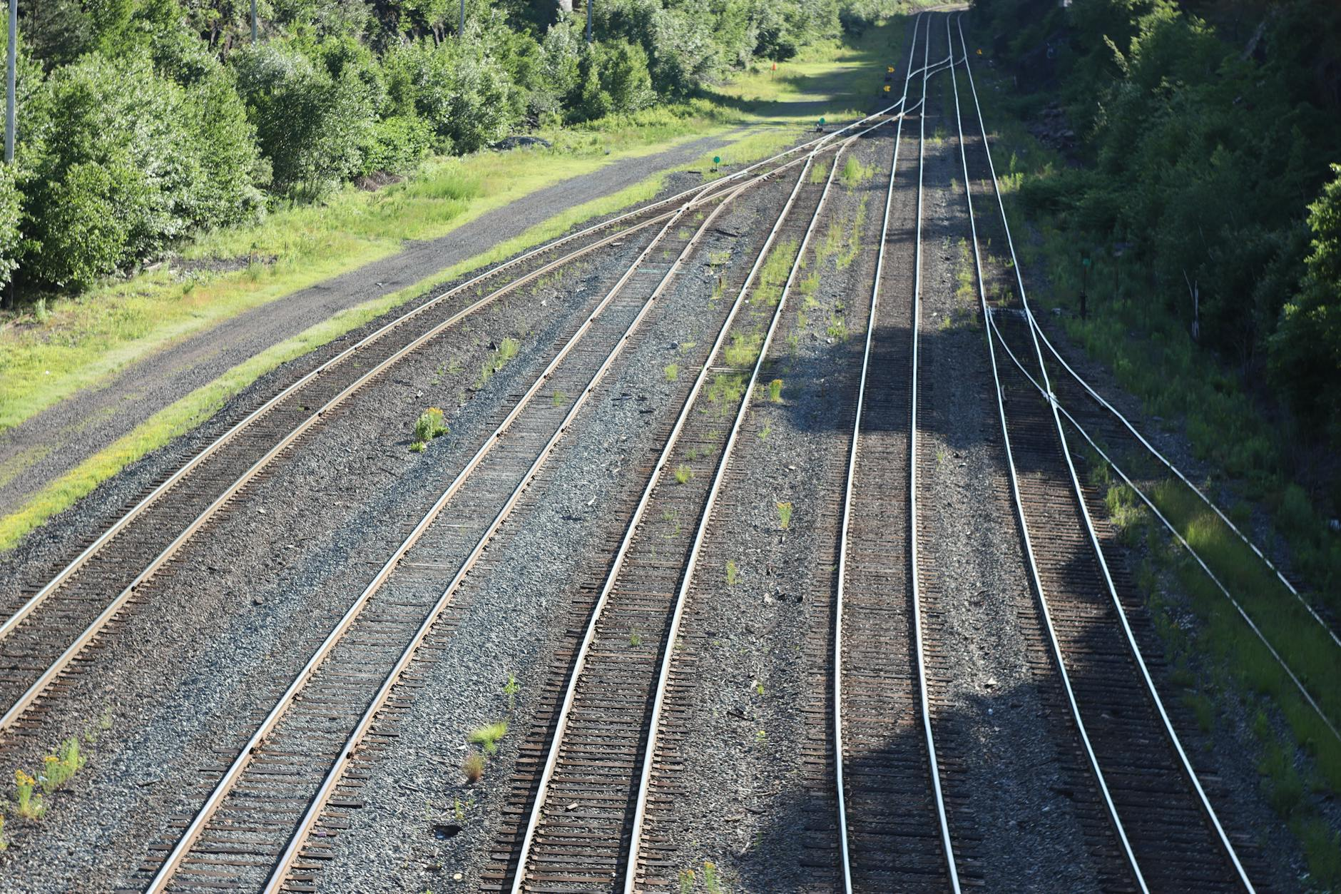 Luftaufnahme der Austrasse in Zürich mit einer Mischung aus modernen Gebäuden, begrünten Flächen und urbaner Infrastruktur, die das Gleichgewicht zwischen Stadtentwicklung und Natur zeigt.
