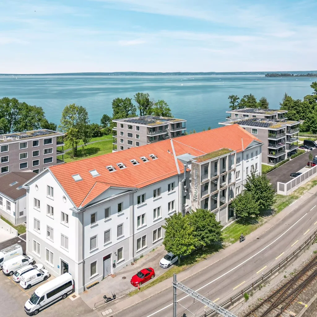 Gips als Komfortschaffer – Handwerkskunst für ein gesundes Raumklima